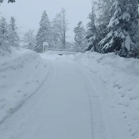 Apartma Jerebika St. 20 Apartman