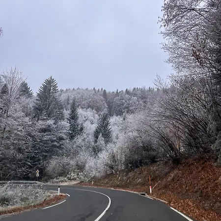 Apartma Jerebika St. 20 Apartment *