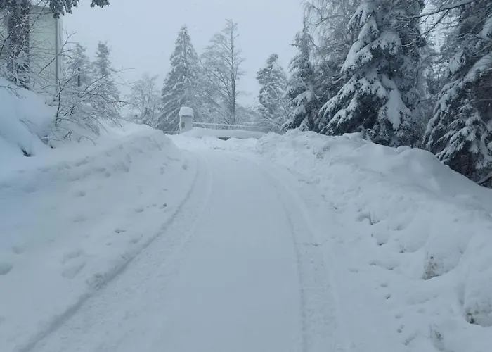 Apartma Jerebika St. 20 شقة