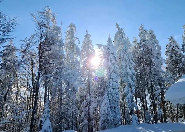 Apartma Jerebika St. 20 Hočko Pohorje
