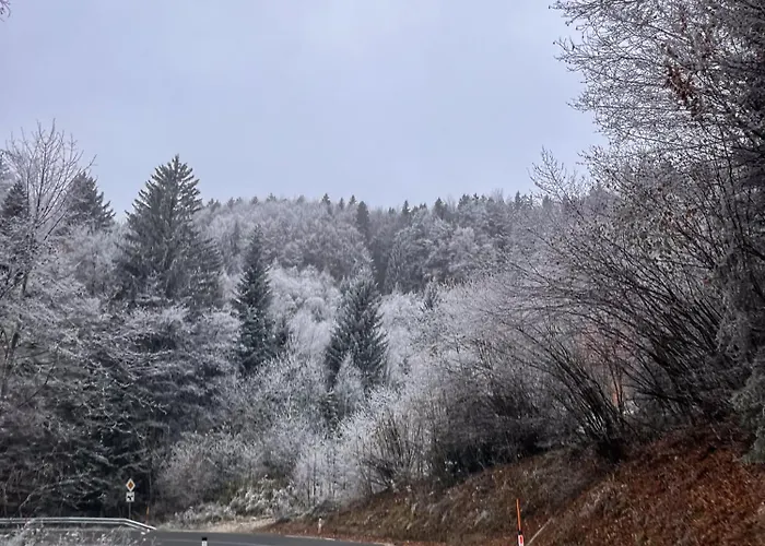 Apartma Jerebika St. 20 شقة *